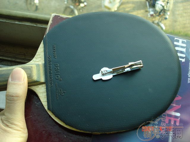 ������׽�