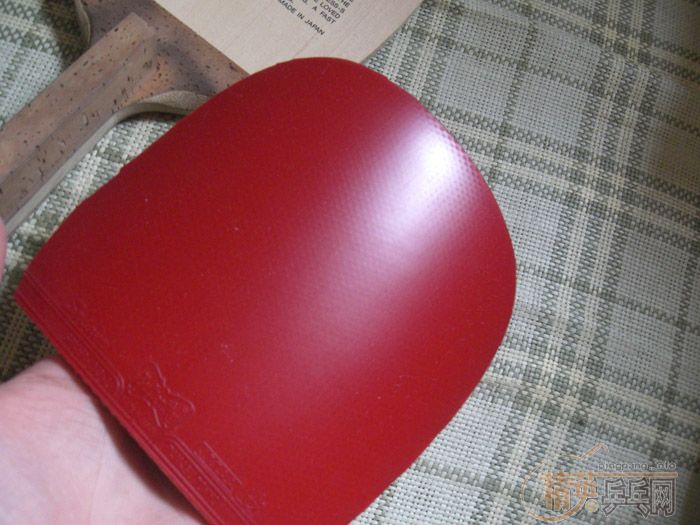 95��cypress-s��ϲ������ȥ