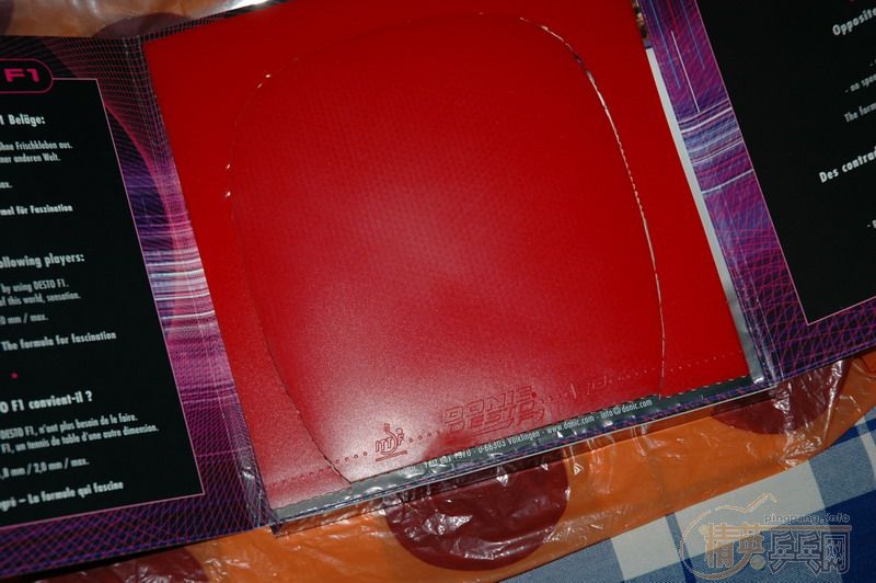 �Ͻ�����°�f1 ֱ����̼����speedy����