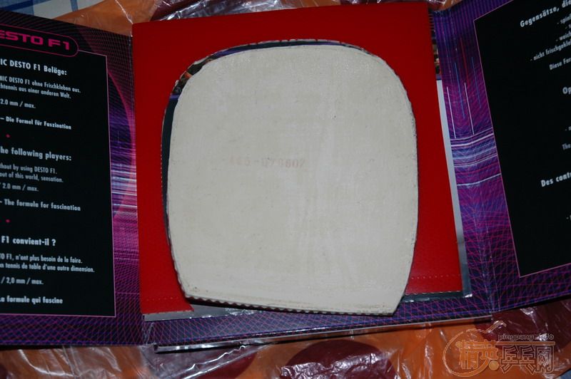 �Ͻ�����°�f1 ֱ����̼����speedy����