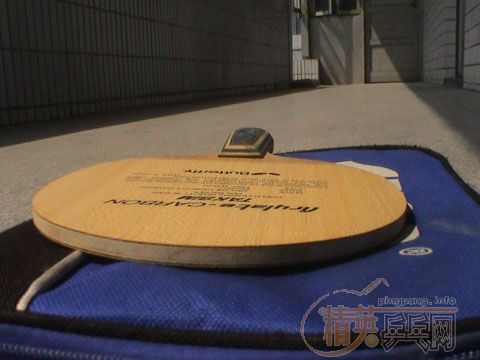 ��һֻ9.8���º�����550Ԫ