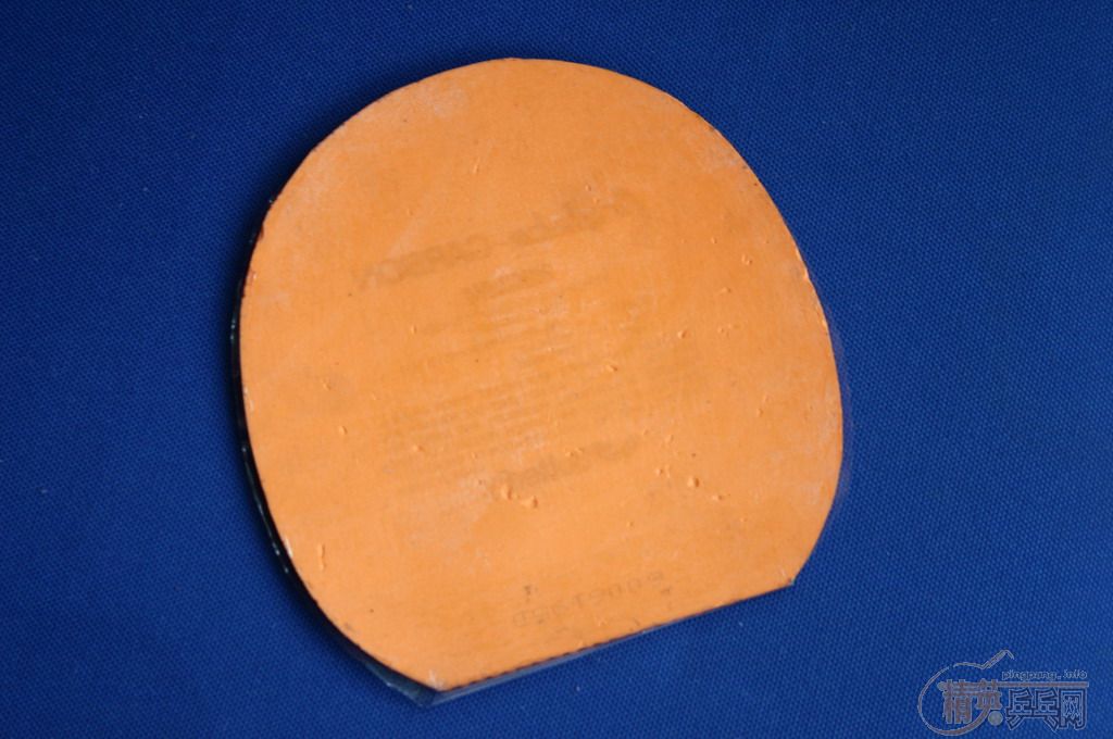 �������׽���2049������1/2��1997�������ȣ�