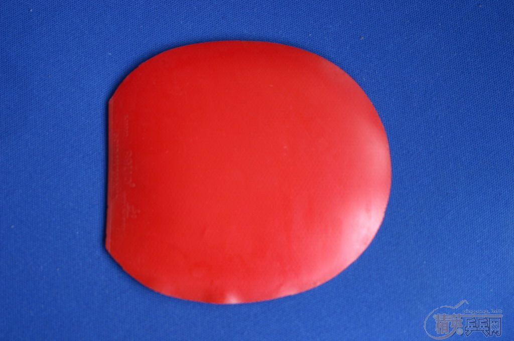 �������׽���2049������1/2��1997�������ȣ�