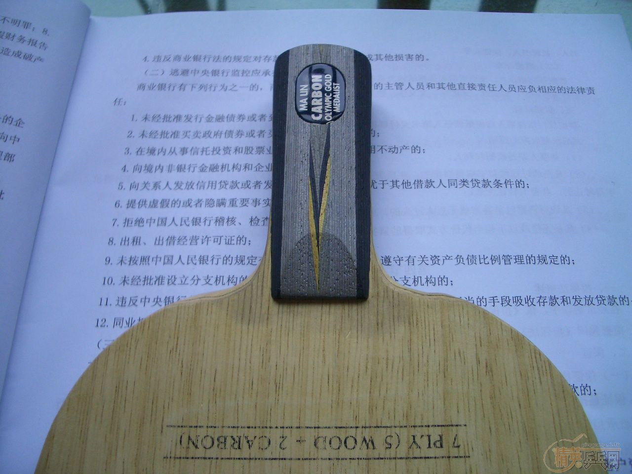 ����9.5�����л�YCA��(������XX�׽�1��)