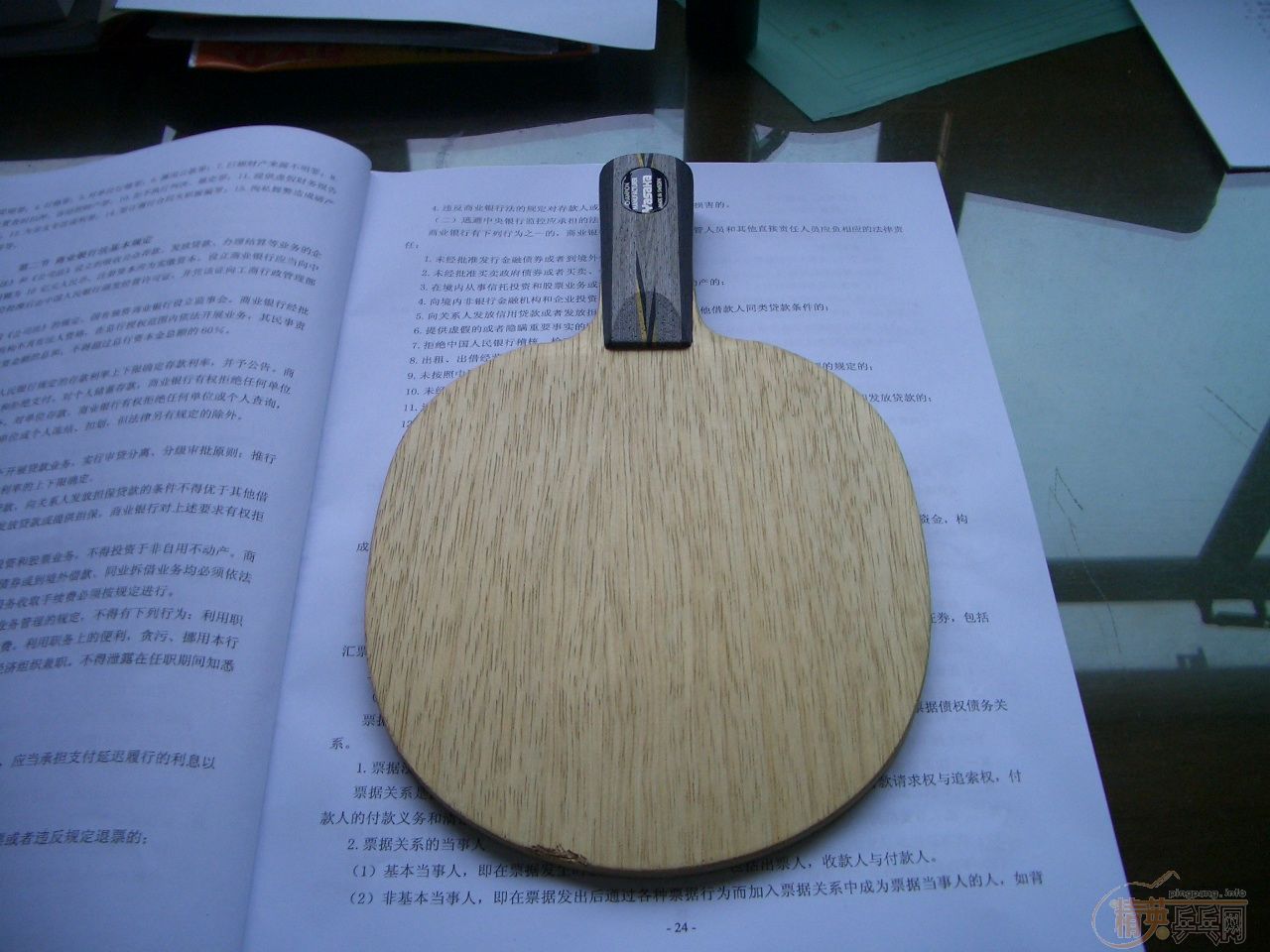 ����9.5�����л�YCA��(������XX�׽�1��)