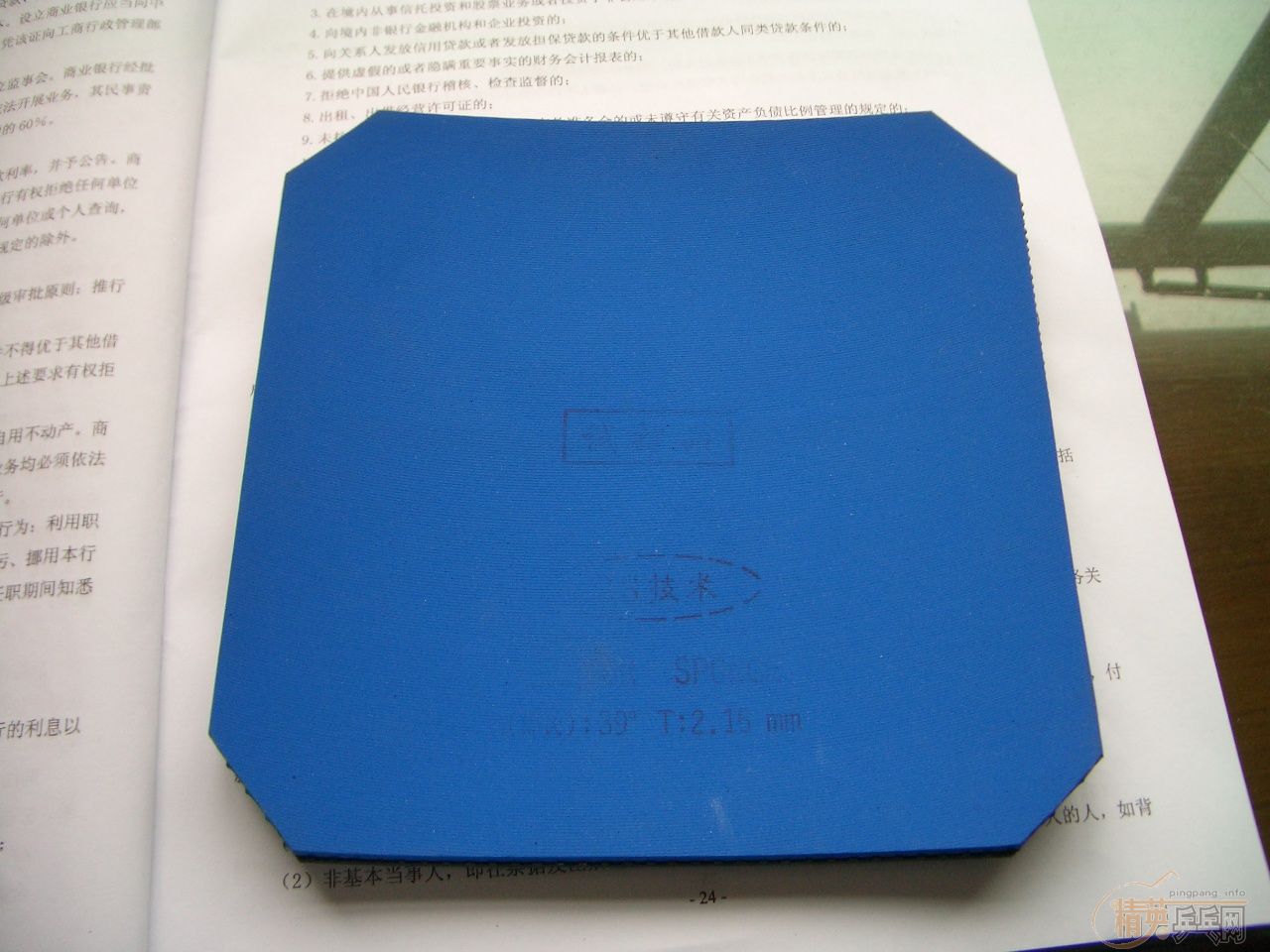 ����9.5�����л�YCA��(������XX�׽�1��)