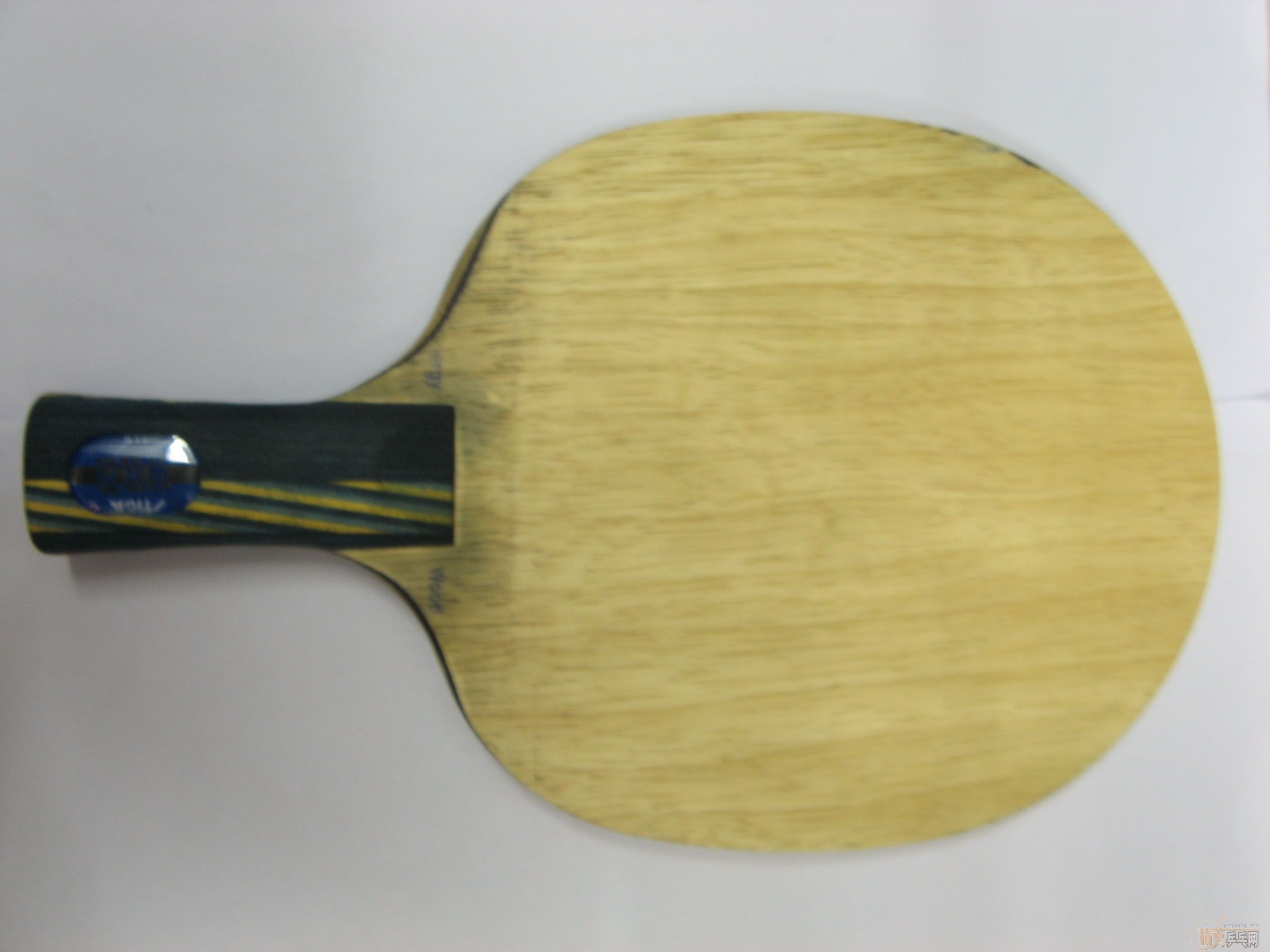 9����ֱEG+9���º�����E�׽�  ����