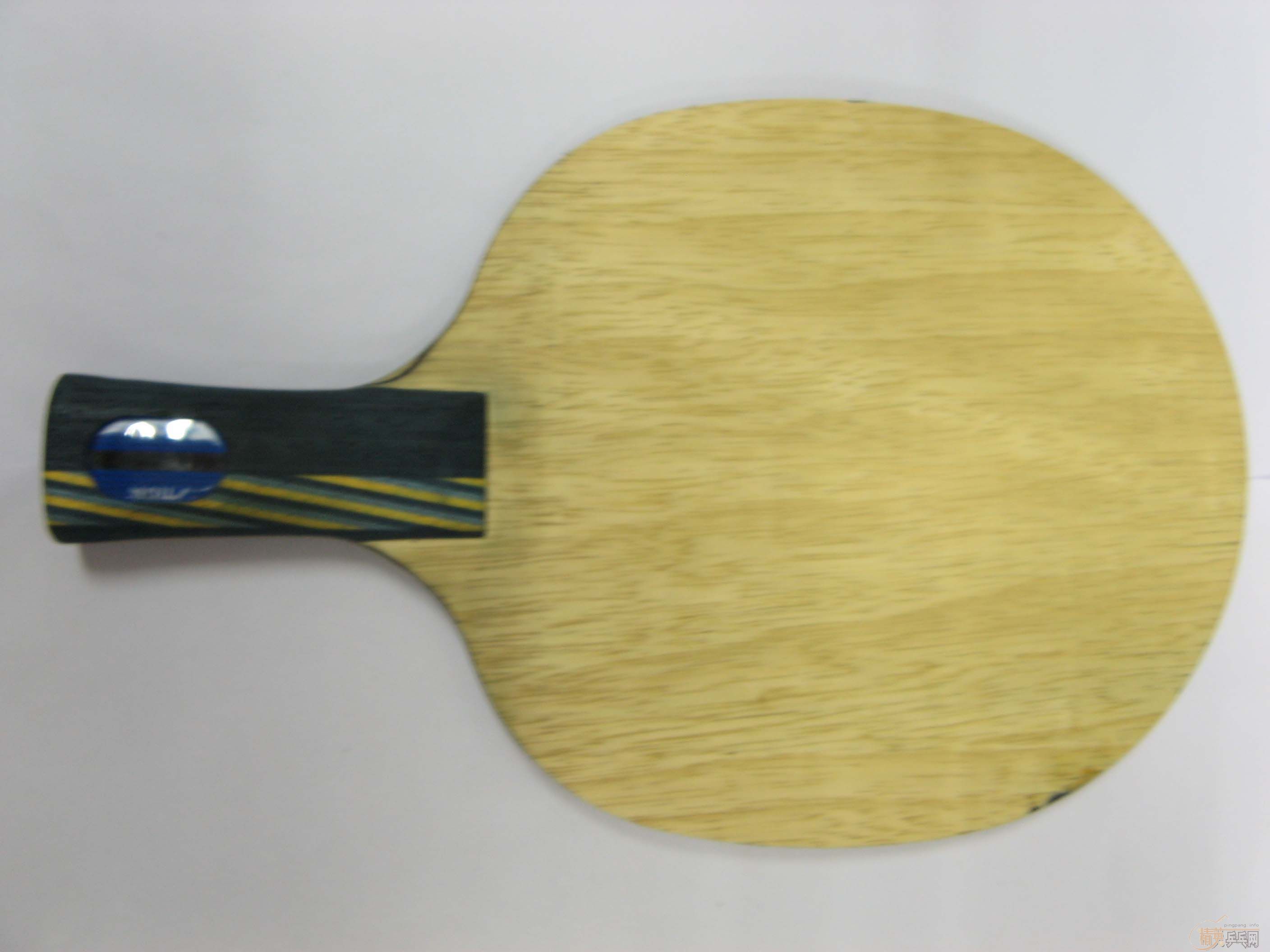 9����ֱEG+9���º�����E�׽�  ����