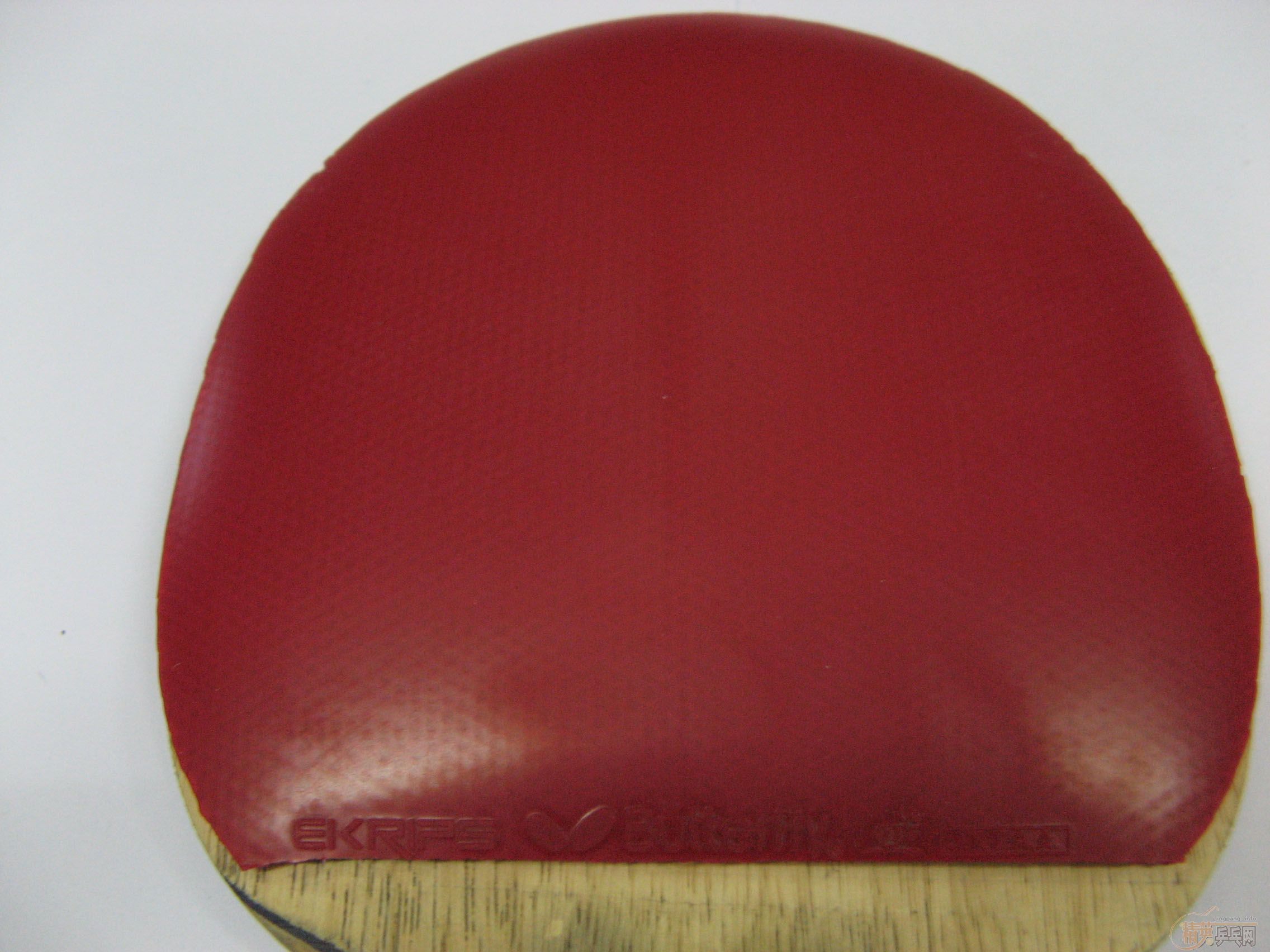 9����ֱEG+9���º�����E�׽�  ����