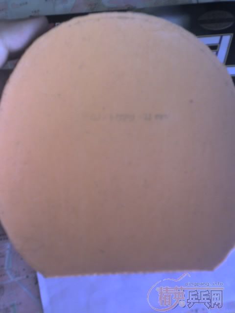 ����BWH218������������ɫXXXL����ۣ�����ʵ����Ƭ���ּӿ�EL��