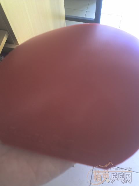 ����BWH218������������ɫXXXL����ۣ�����ʵ����Ƭ���ּӿ�EL��