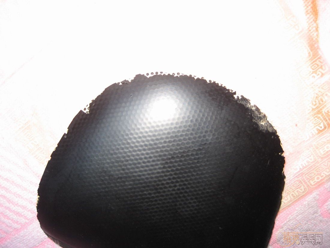 �ֻع�����������ʵ�������Ӣ����