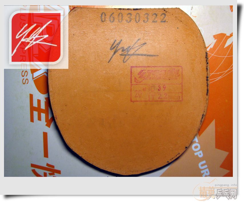 [ԭ��]����9����ʡ��3��һֱһ�ᣬ��ɫ