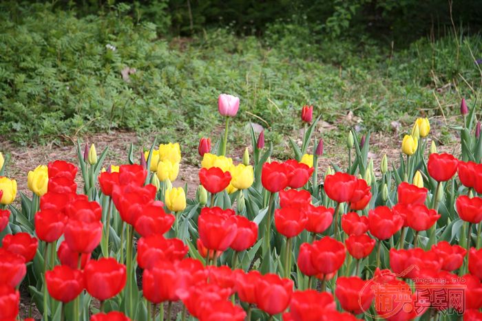 [��ˮ]����һ���ٸϲ�����������������֧һ�ж�