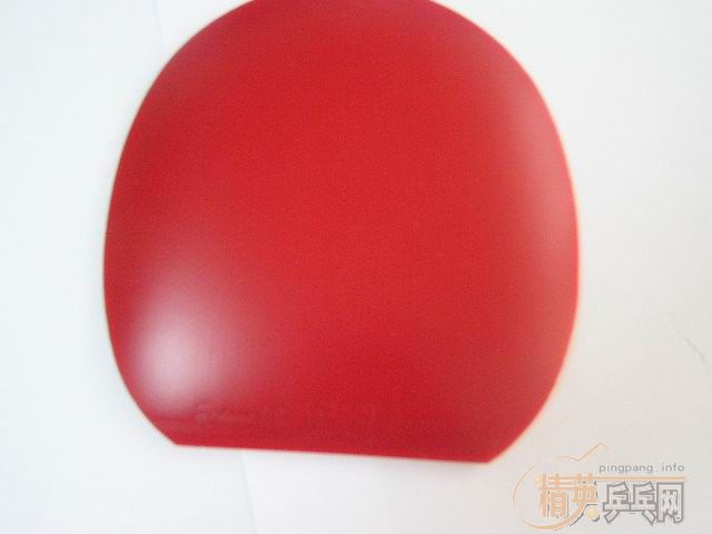 ����9.5����el max