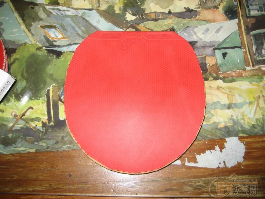 ����ͼ ����=�����У��顴��ֱ��Bһ ��һ �� ���页 ������2��С������Ĵ�Bһ��һ��