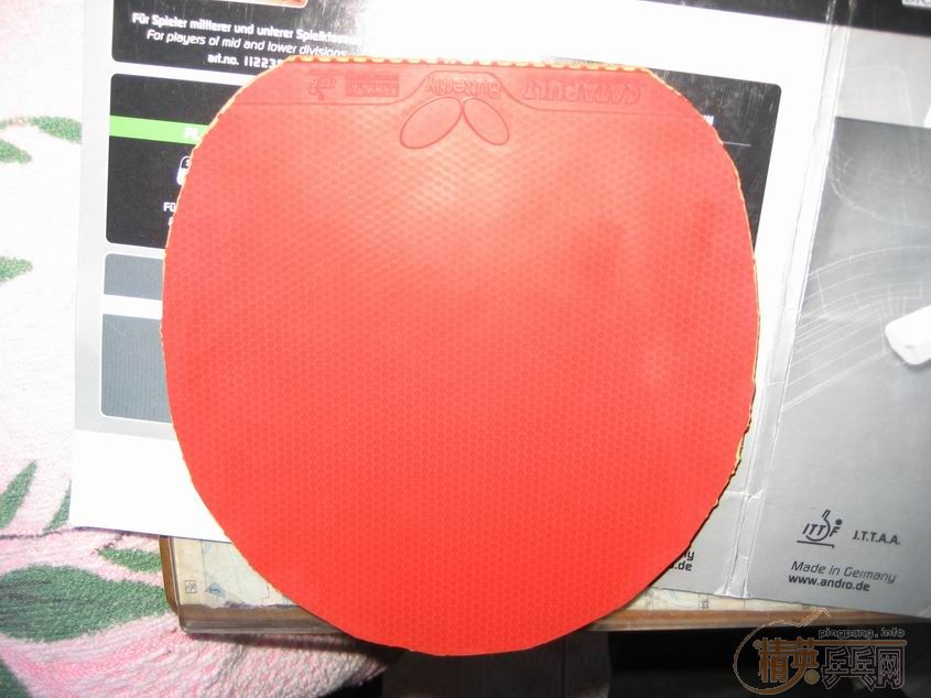 ����ͼ ����=�����У��顴��ֱ��Bһ ��һ �� ���页 ������2��С������Ĵ�Bһ��һ��