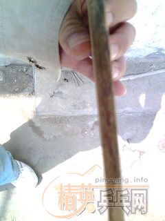 ��ֱ��YEһֻ  ��ά̼����άһֻ