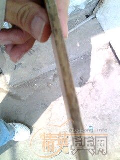 ��ֱ��YEһֻ  ��ά̼����άһֻ