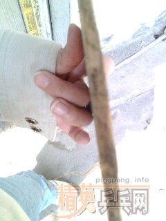 ��ֱ��YEһֻ  ��ά̼����άһֻ