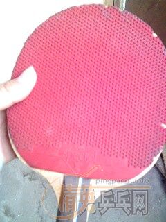 ��ֱ��YEһֻ  ��ά̼����άһֻ