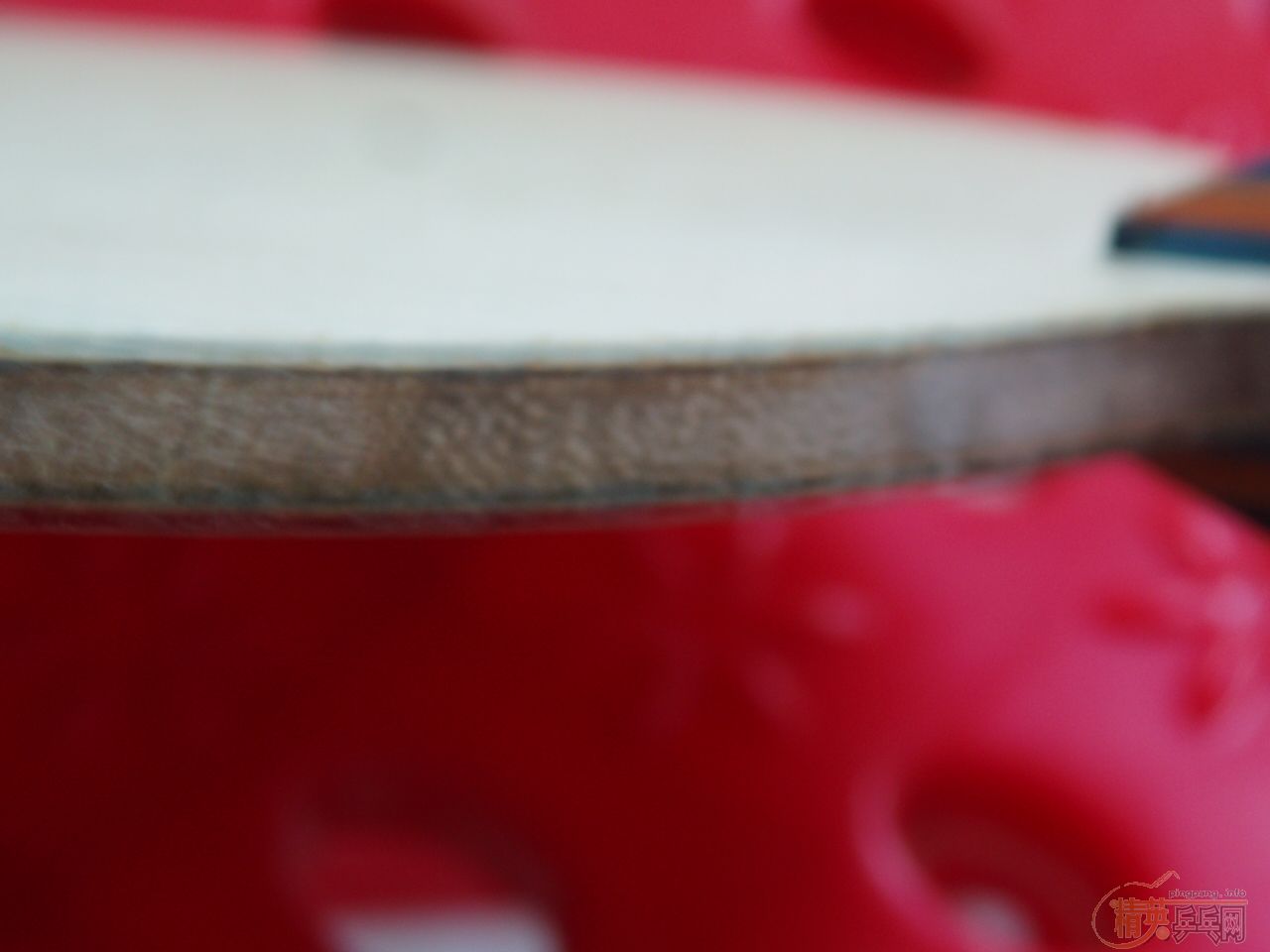 ����STIGA-OC�Ӵ���棬���µ÷�boll����ɫSriver