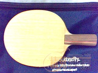 �ų���ֱͦ��BX 200����