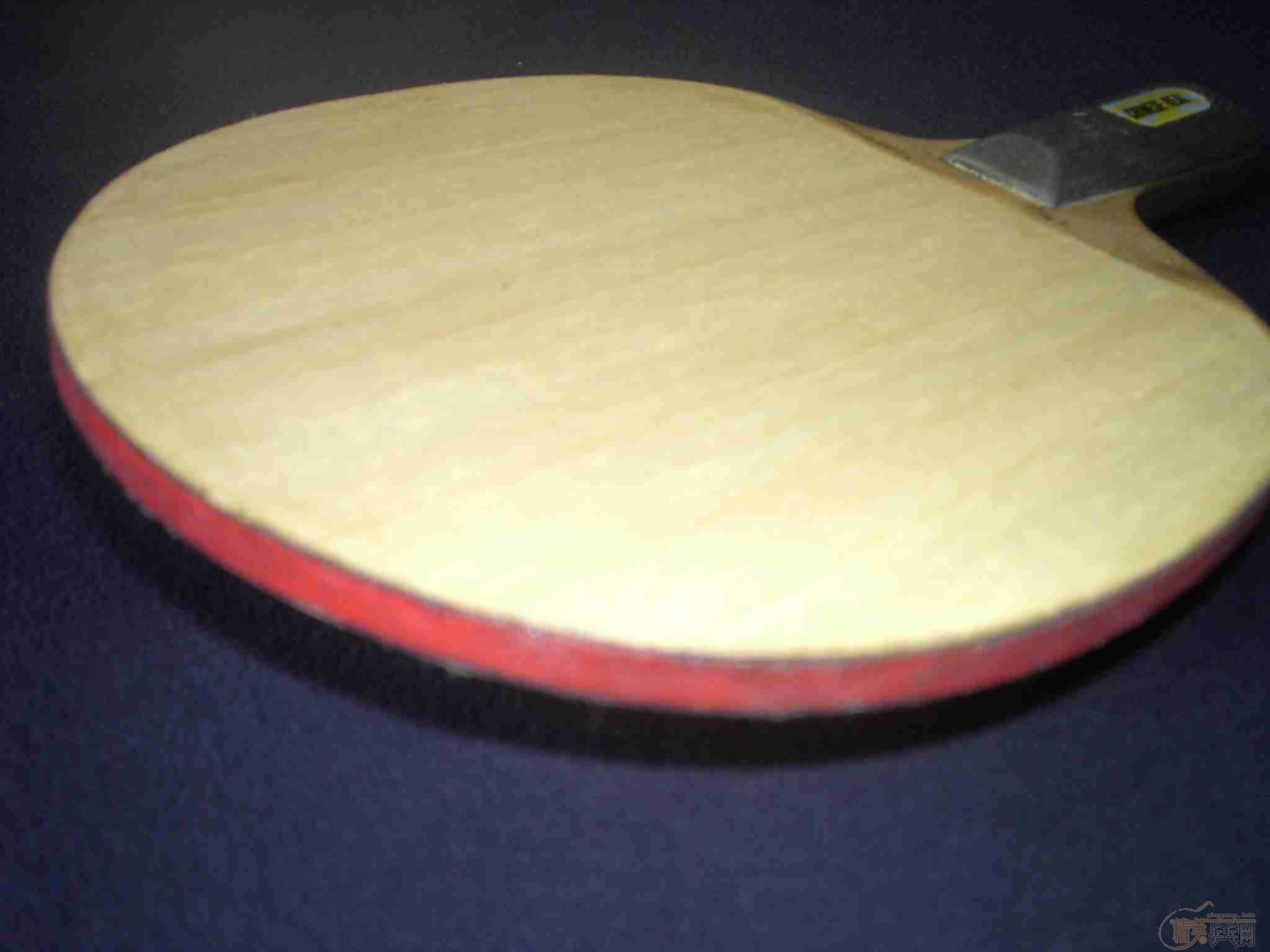 ������壺������Butterfly��KUMPURU-FL����ͼƬ��