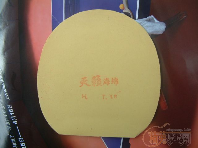 ��һ��Ѷ���,��������