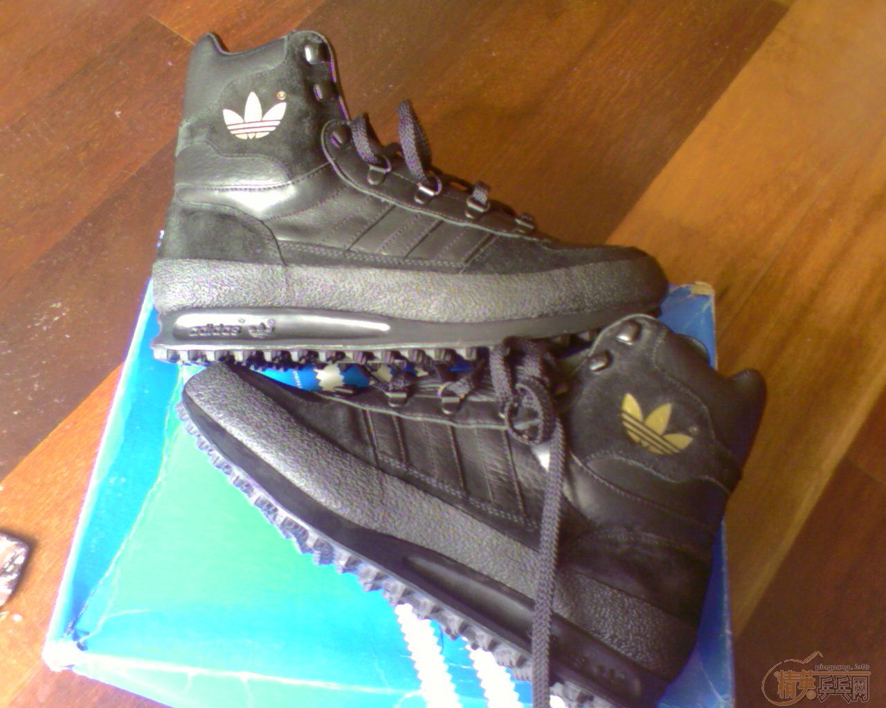 ���ϴ�˹��Ҷ��Ь�ӽ�����̼������!