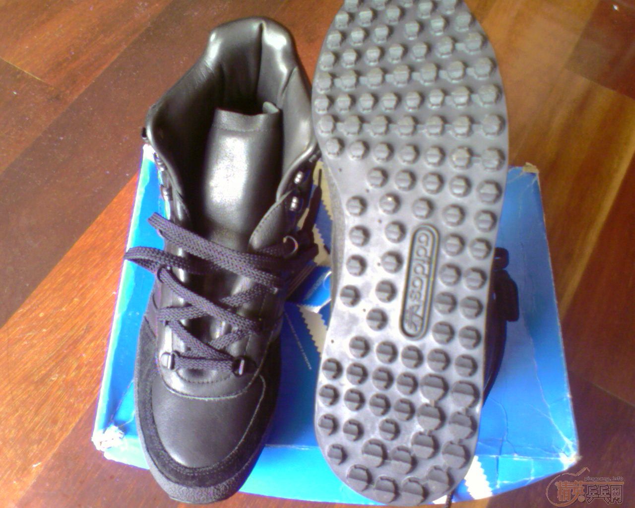 ���ϴ�˹��Ҷ��Ь�ӽ�����̼������!