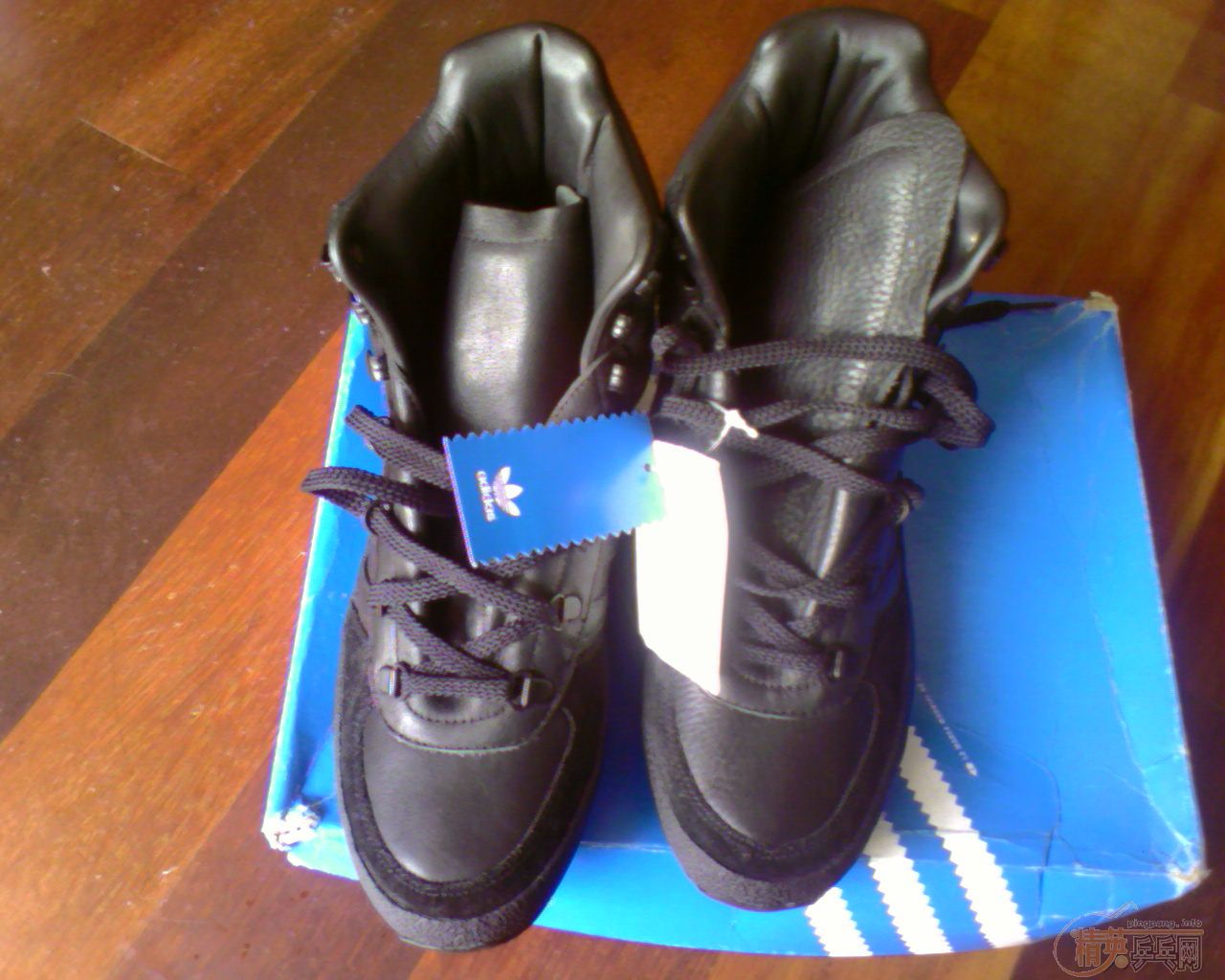 ���ϴ�˹��Ҷ��Ь�ӽ�����̼������!