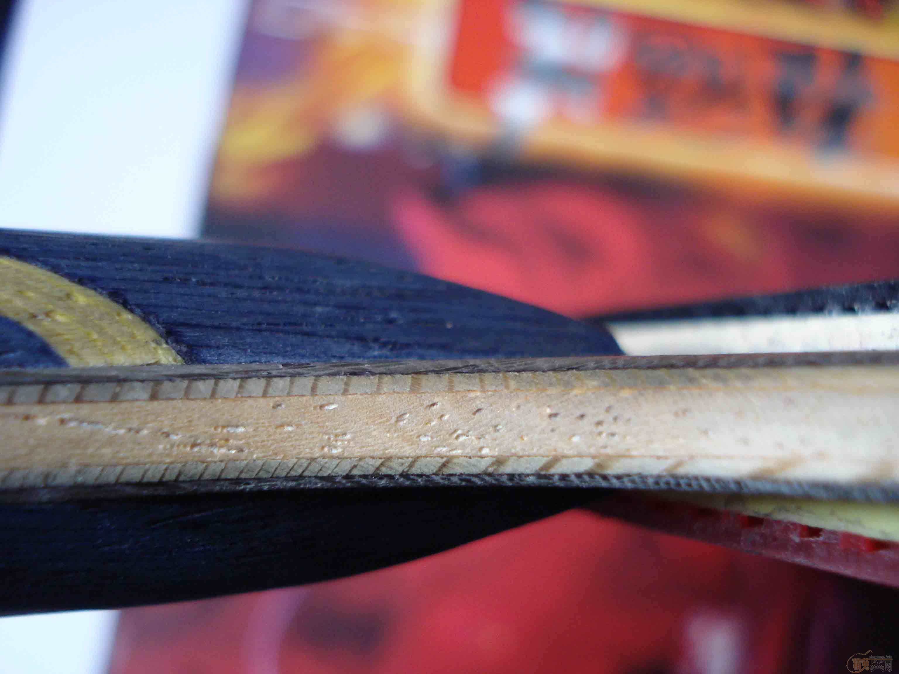 ����,��һ����,ʡ��������.360Ԫ