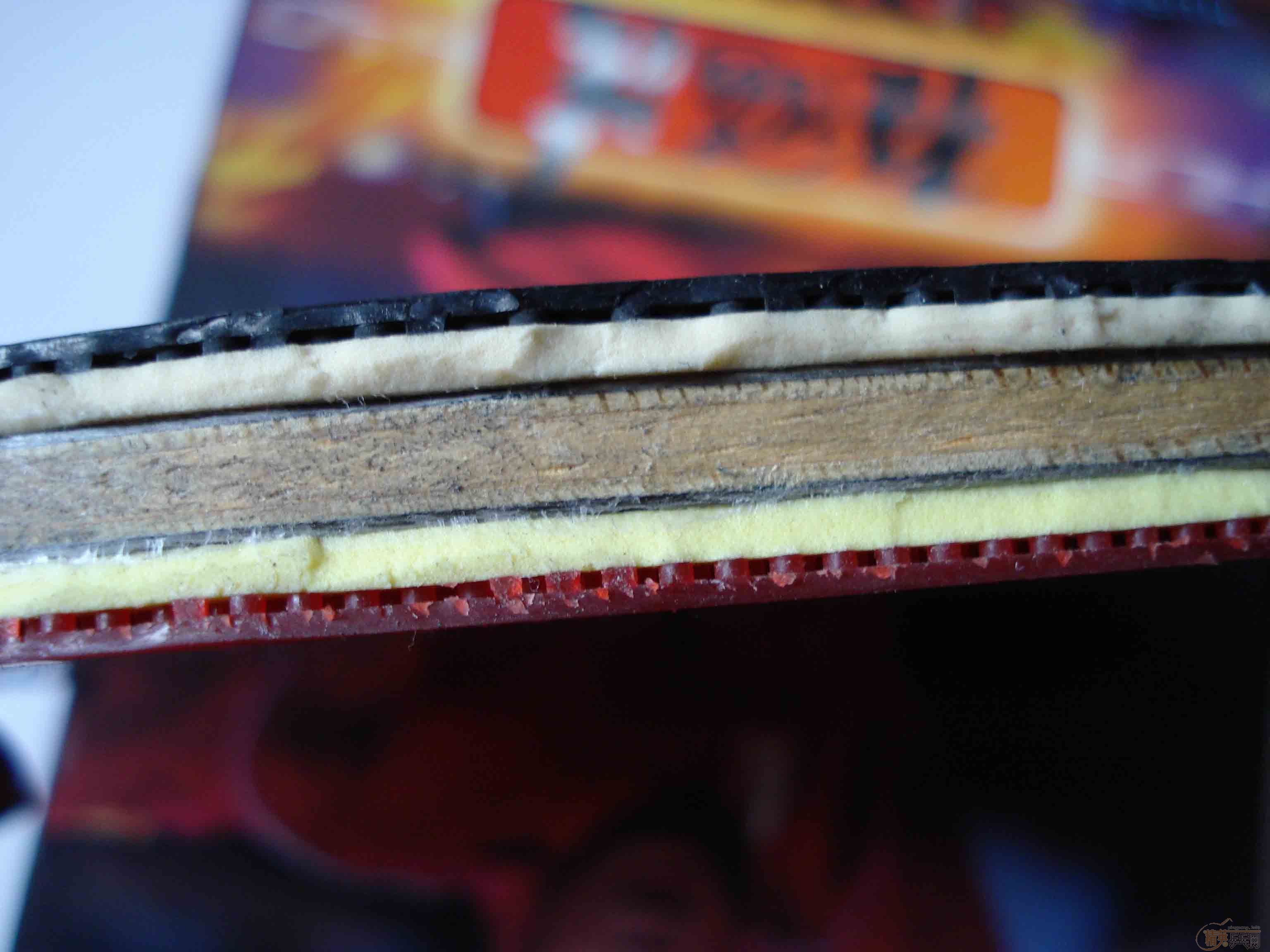 ����,��һ����,ʡ��������.360Ԫ