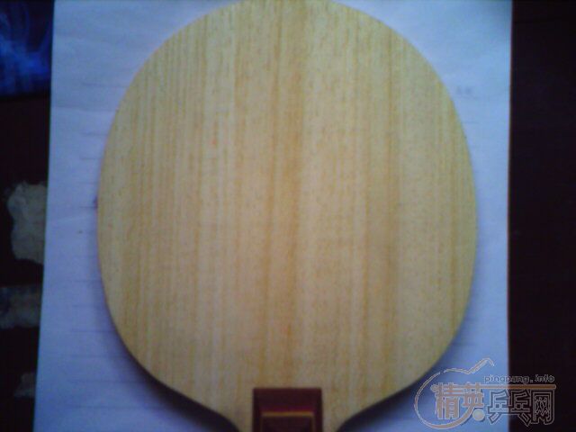 طӣ NITTAKU R5-FL  STIGA OC-FL