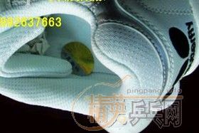 ������Ь����ˣ����˴�����˫Ь��һ�룬������STIGA