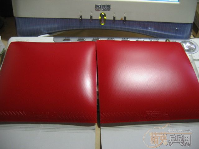 �����ھͲ��з��� st oc crʡ�� nittaku jo