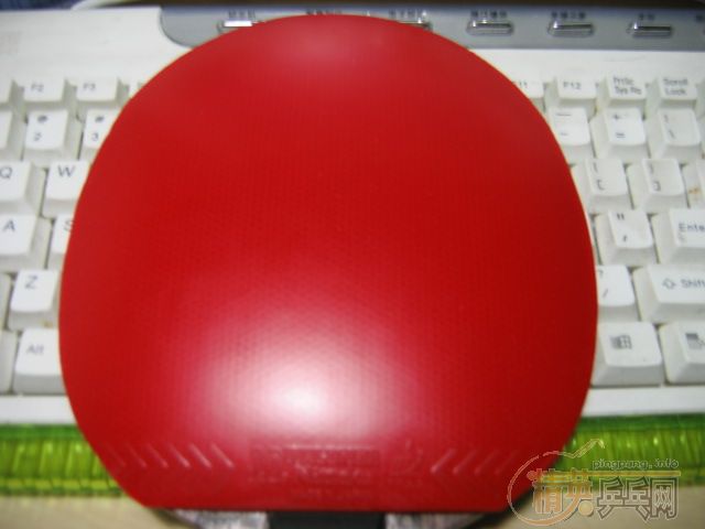 �����ھͲ��з��� st oc crʡ�� nittaku jo