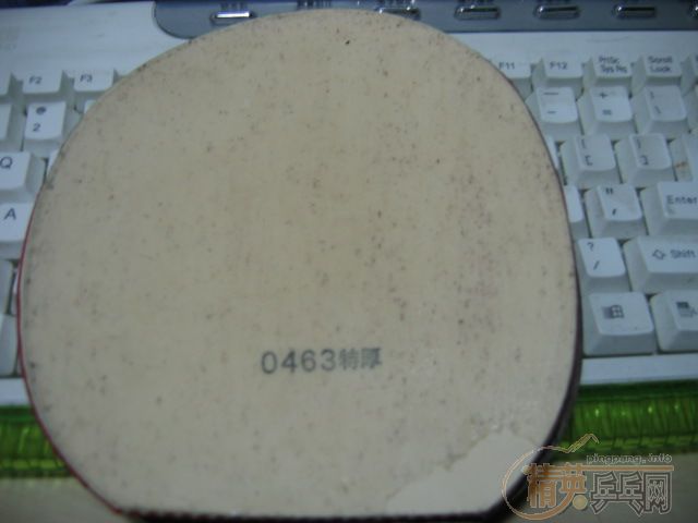 �����ھͲ��з��� st oc crʡ�� nittaku jo