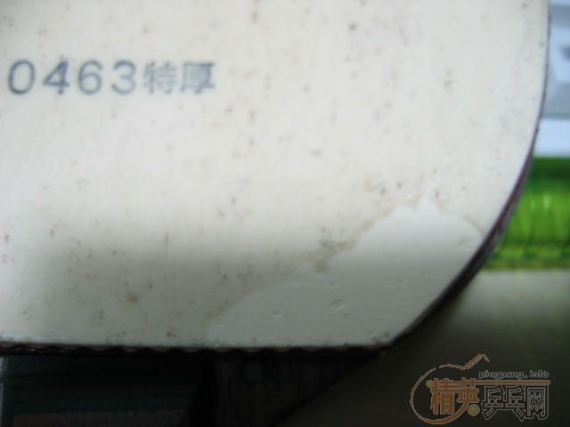 �����ھͲ��з��� st oc crʡ�� nittaku jo