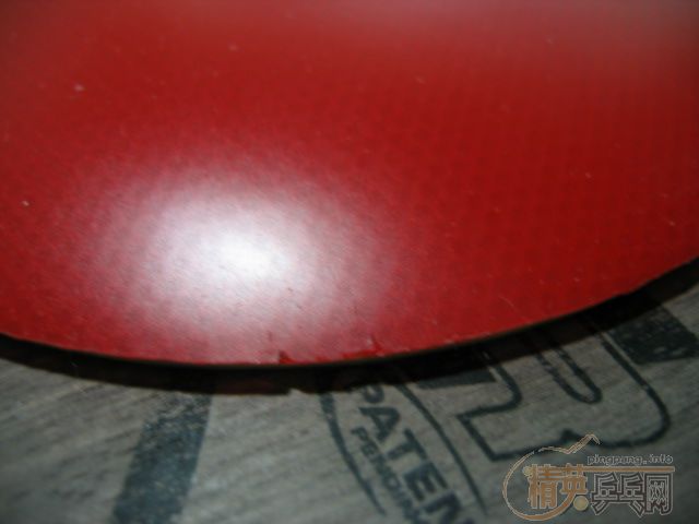 �����ھͲ��з��� st oc crʡ�� nittaku jo