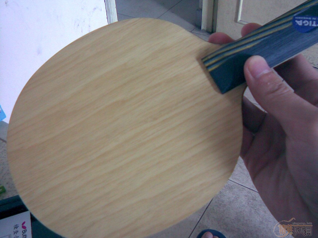 �����˹�Ŀ�EG(9.5����)