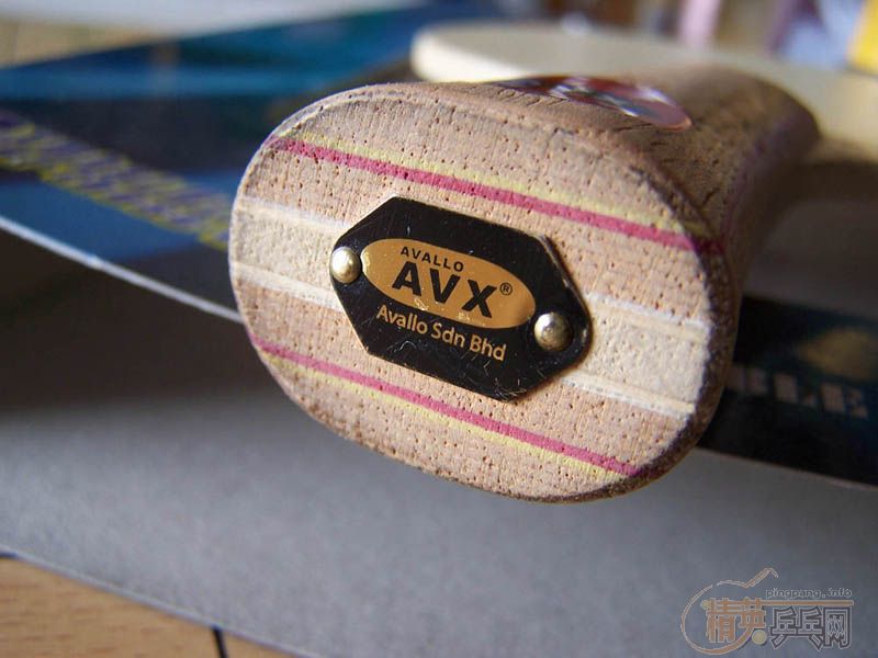 320��Ʒ����ѵ�FL������AVX/SP5