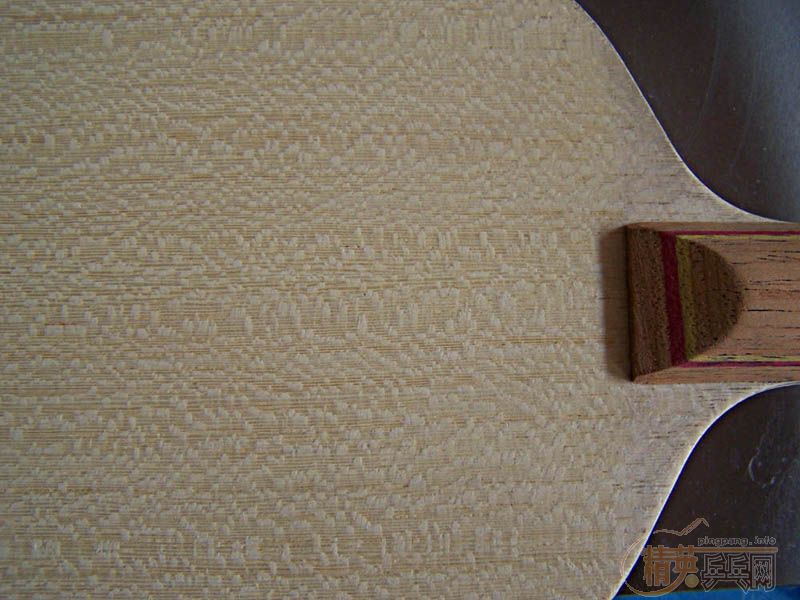 320��Ʒ����ѵ�FL������AVX/SP5