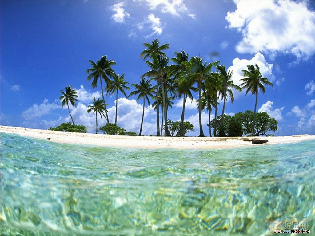 2006 ƹ���������籭����¼��