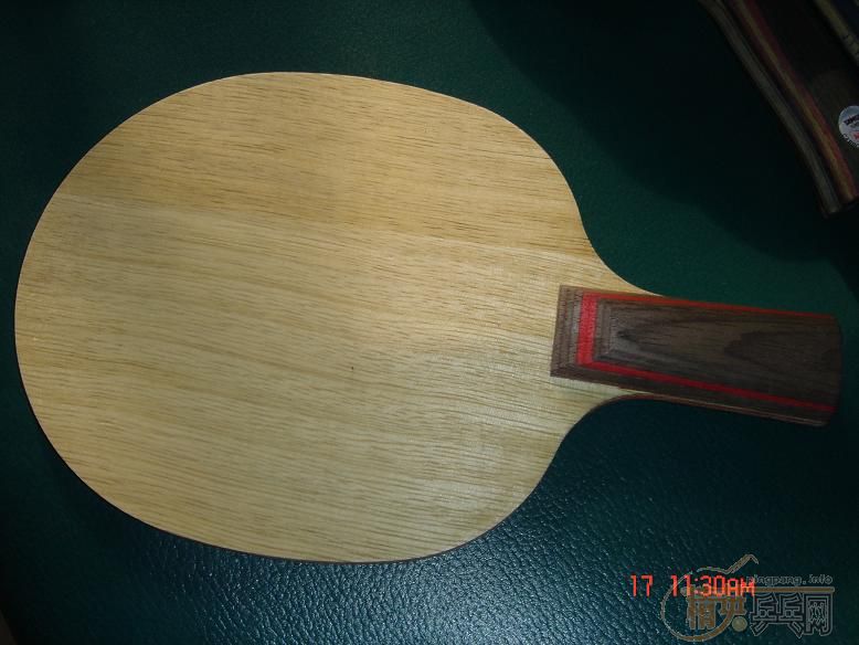 ��һֻ�ϵ�MASTER����ֱSTIGA CL