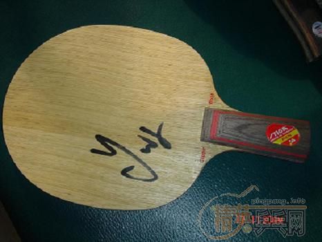 ��һֻ�ϵ�MASTER����ֱSTIGA CL