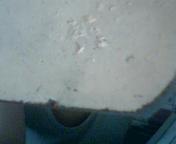 [ԭ��]���ͼ۴����ܶණ��   �۸��µ�