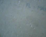 [ԭ��]���ͼ۴����ܶණ��   �۸��µ�