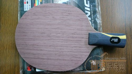 ��ֱ�����һ��~~9.5��,δ�����Ӳ��F1һ��